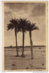 El Goléa . Crépuscule sur Den Bachir