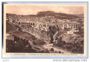 Jolie CP Ancienne Algérie Constantine Panorama vu de la route de Sétif & le Pont Sidi Rached - Ed ND 2 - cp pas écrite