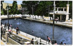 CONSTANTINE - ALGERIE - BELLE CPSM ANIMEE EN COULEUR A PETIT PRIX DE 1958.