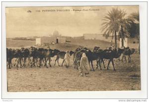 paysages d' algérie passage d' une caravane ( éditeur chapelle constantine )