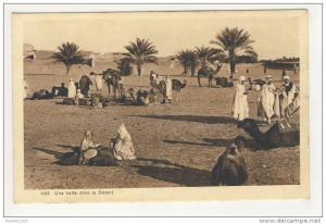 une halte dans le désert  ( éditeur chapelle constantine )