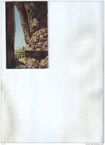 CP CONSTANTINE  SORTIE DES GORGES DU RHUMEL