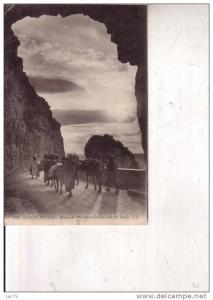 ROUTE DE PHILIPPEVILLE  AU  CLAIR DE  LUNE