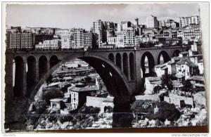 Algérie - CP N° L373 - Constantine - CPSM/N