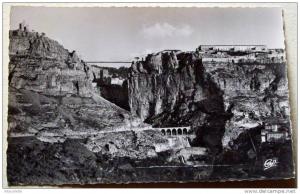 Algérie - CP N° L374 - Constantine - CPSM/N