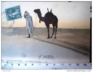 ALGERIA Algérie -COSTANTINE PREGHIERA ARABO NEL DESERTO CAMMELLO VB1912 CC5074