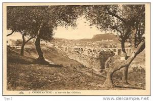 CONSTANTINE - Vue à travers les Oliviers TBE