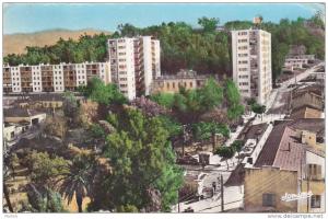 CPSM  TIZI OUZOU  les nouveaux immeubles