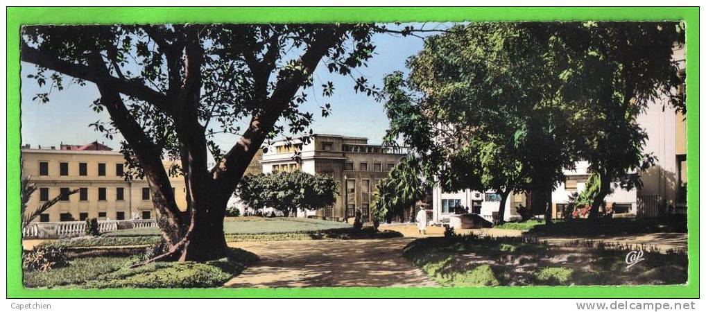 C.P.A. - MOSTAGANEM - LE JARDIN PUBLIC ( Dans les années 50 )- 220 X 90 mm