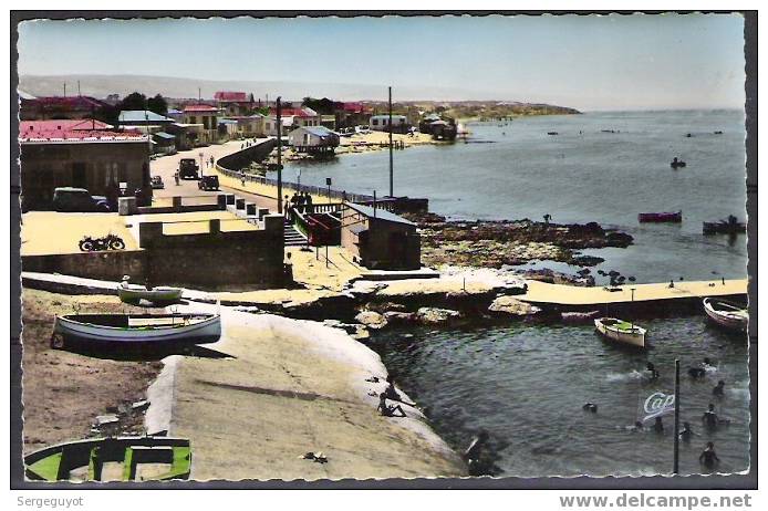 Mostaganem - plage de la Salamandre - (cp918)