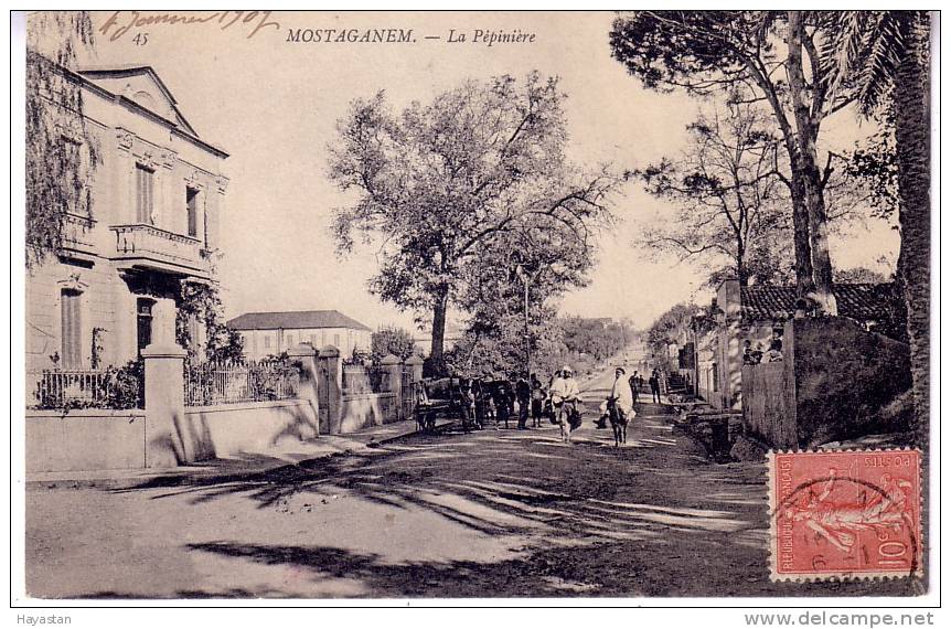 MOSTAGANEM - LA PEPINIERE