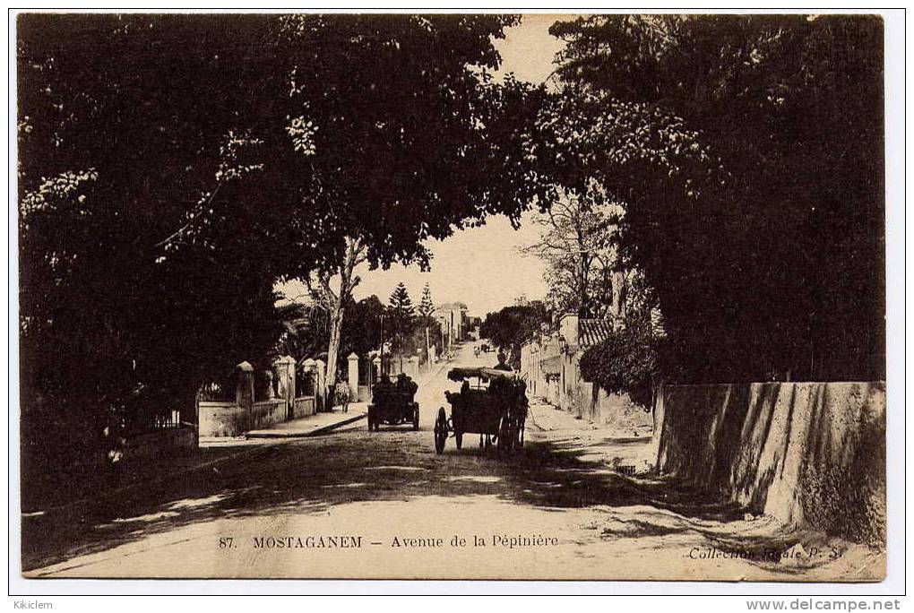 MOSTAGANEN -   AVENUE DE LA PEPINIERE           N°83