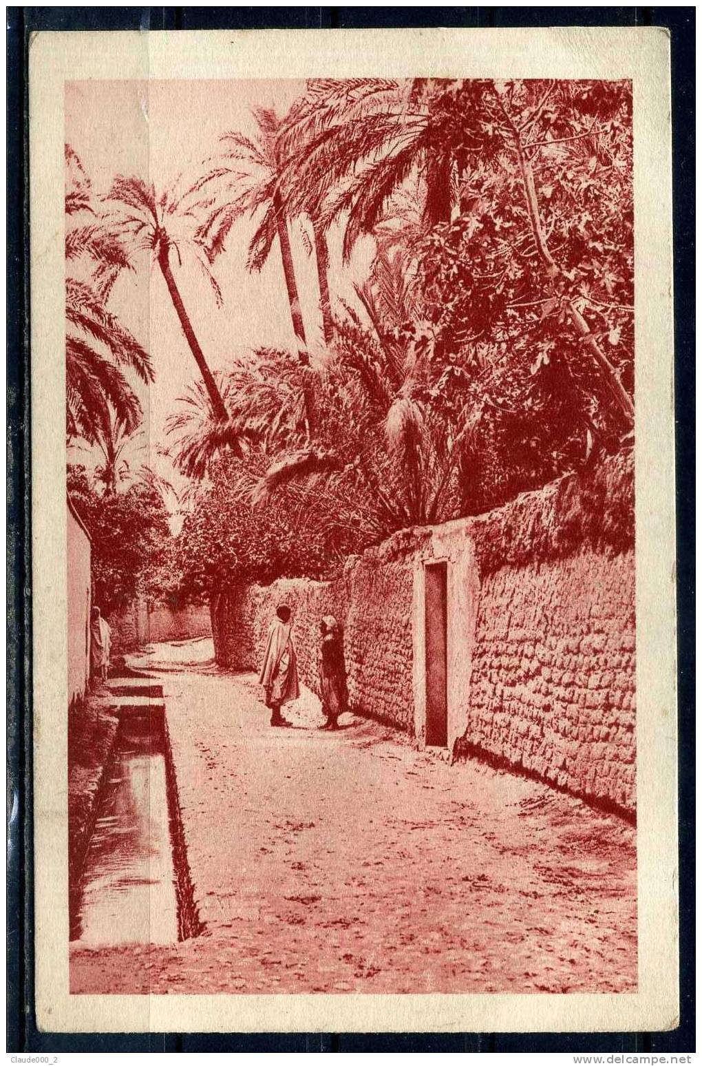 LAGHOUAT . Une Rue . Carte  animée . Voir Recto - Verso  (K184)
