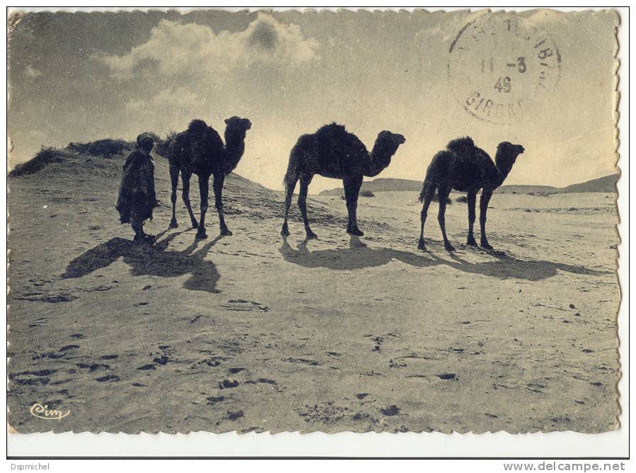 Constantine - Biskra - Dans le grand désert