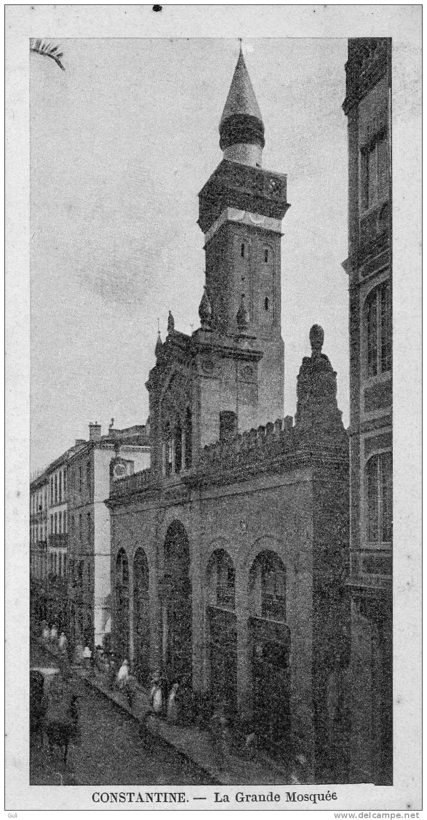 Algérie > CONSTANTINE -la Grande Mosquée - Format particulier 14 x 7 cms *PRIX FIXE