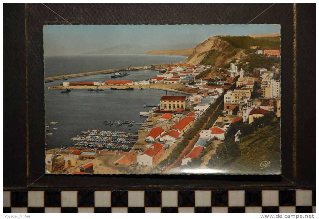 PHILIPPEVILLE  VUE GENERALE SUR LE PORT ET LA VILLE