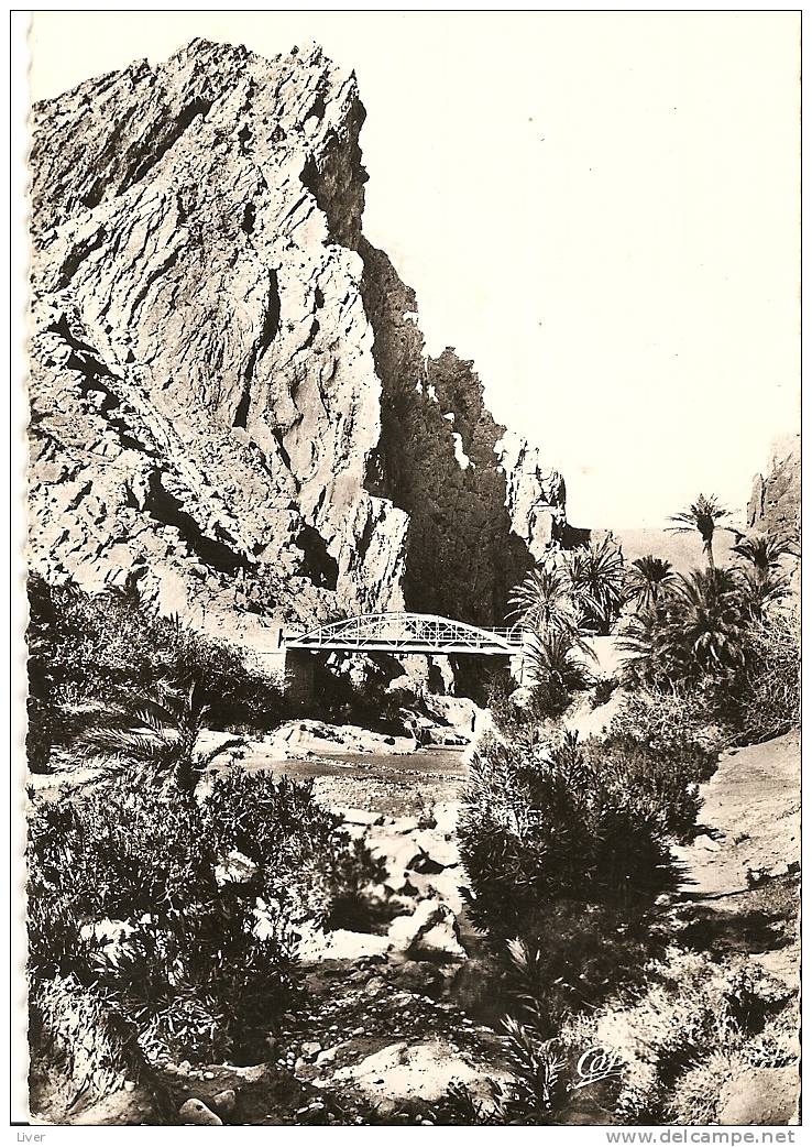 .575 el kantara les gorges et l'oued 1959