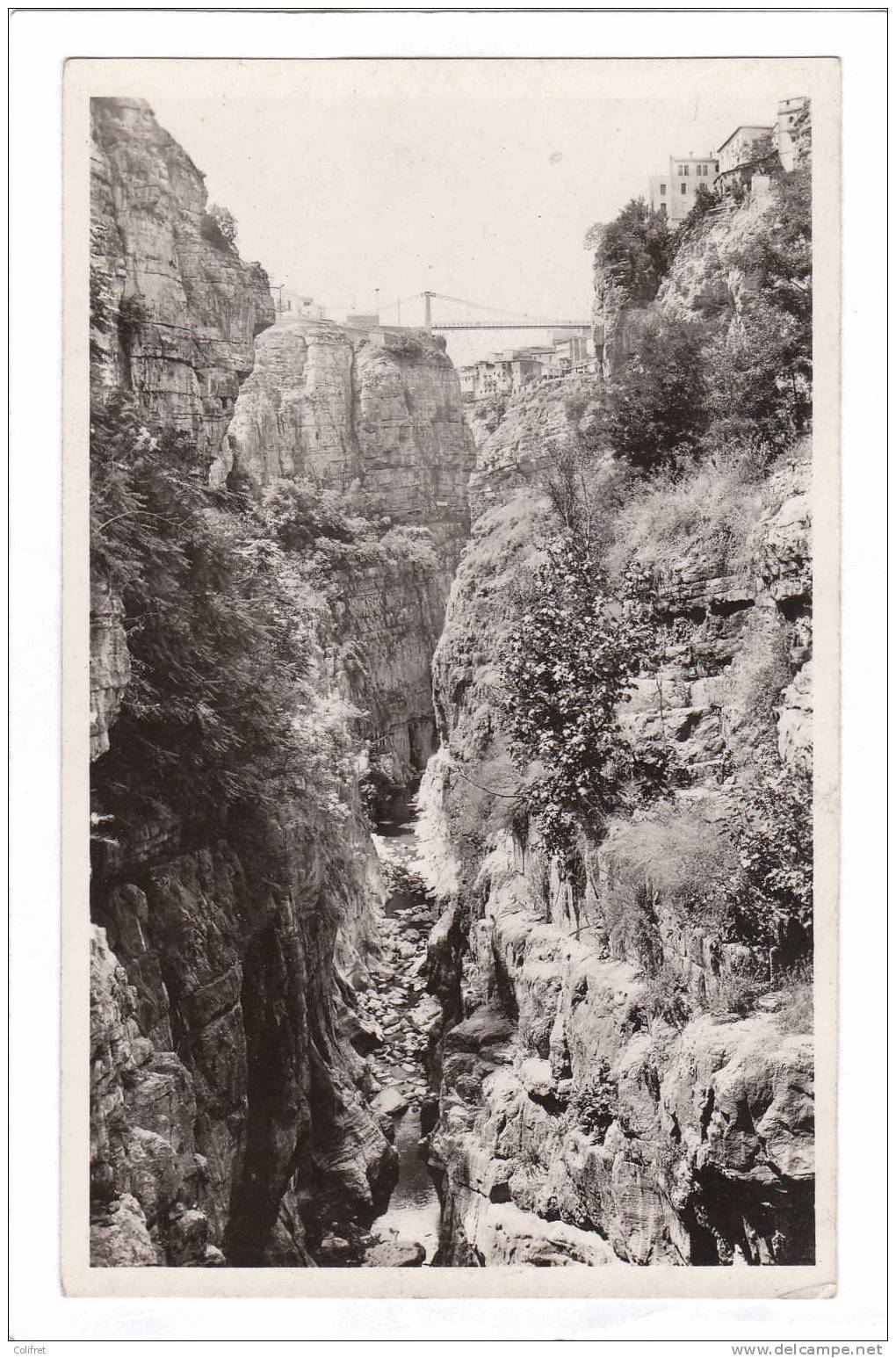 Constantine        Dans les Gorges