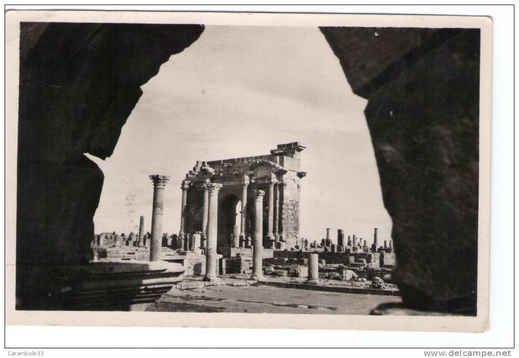 CPSM  TIMGAD  L'Arc de Trajan  1951      Y5/4649