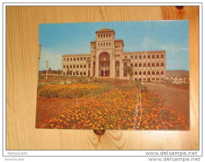 lot 51  *   algerie constantine dans l´état craquement du vernis