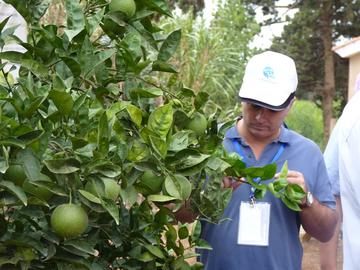 Journée nationale sur l’agriculture organisée par ACI à Chéraga