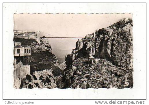cp, Algérie, Constantine, Le Pont de Sidi-M'Cid, et la Sortie des Gorges, écrite