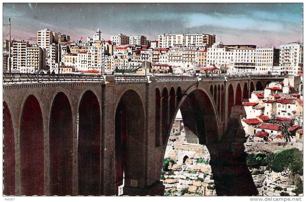 CPSM (format cpa)   Constantine La ville et le pont Sidi-Rached   D193