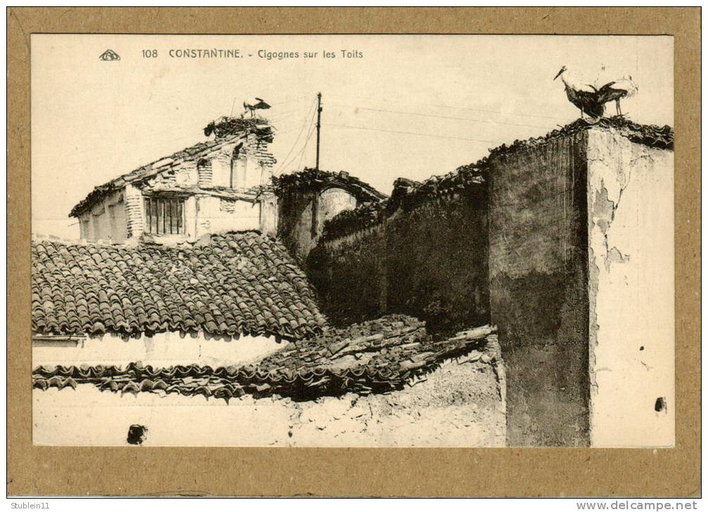 Constantine (Algérie) Cigognes sur les toits.