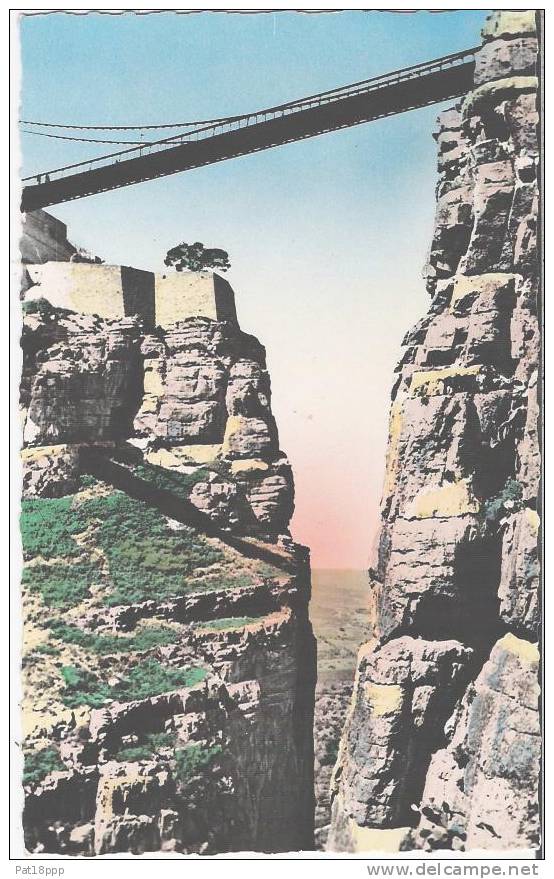 ALGERIE - CONSTANTINE - CPSM dentelée. Les Gorges de Sidi M'Cid. Bon état