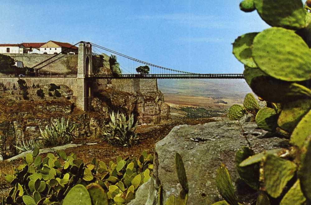 ALGERIE  CONSTANTINE    LE POINT