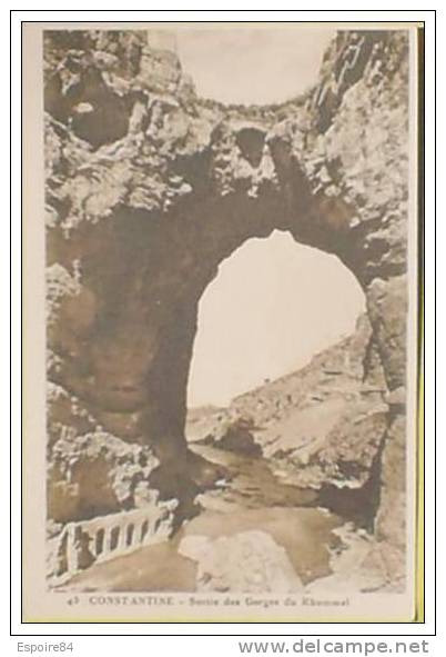 C. Postale  ALGERIE - CONSTANTINE - SORTIE DES GORGES DU RHUMMEL