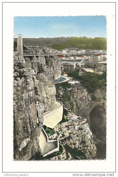 cp, Algérie, Constatine, Route de la Concorde, écrite