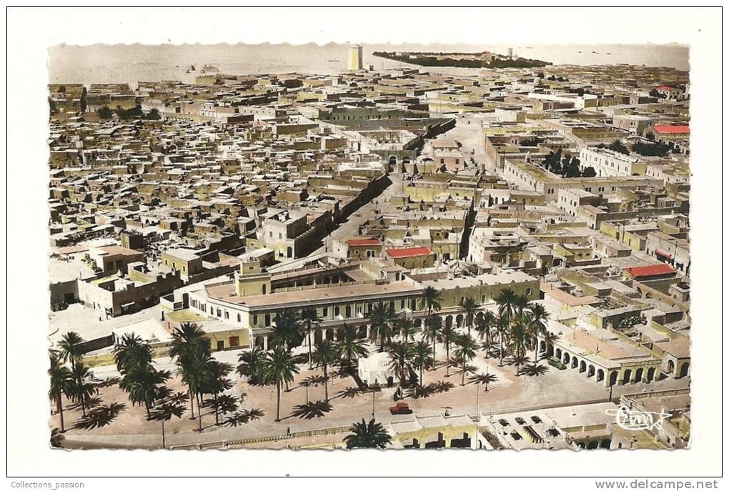 cp, Algérie, Touggourt, Vue Aérienne