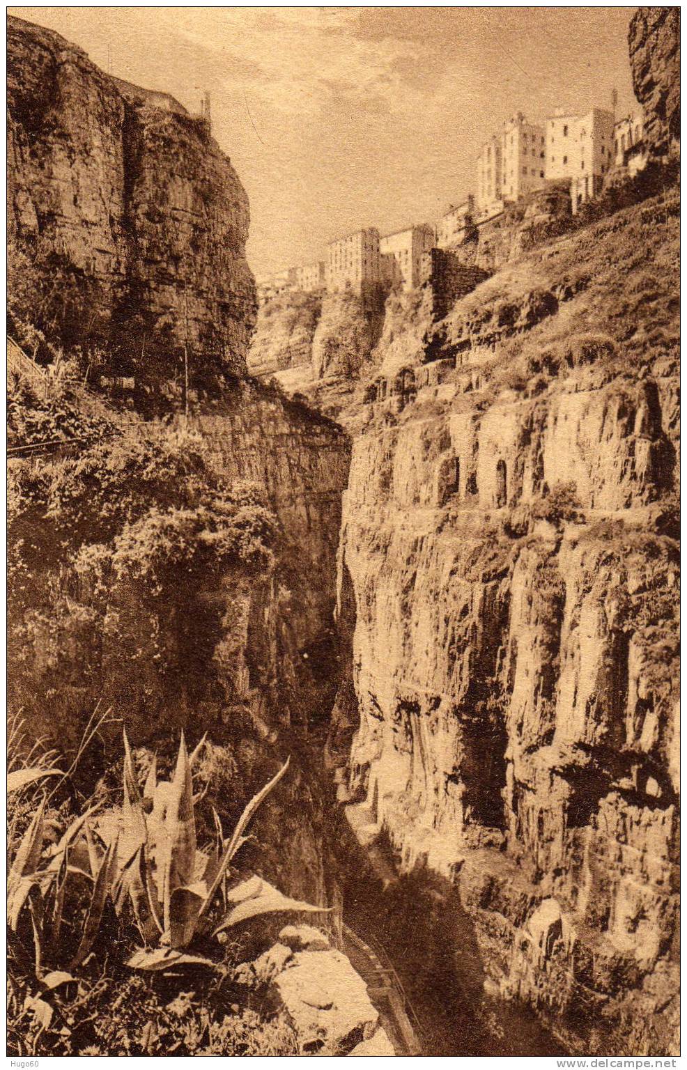 CONSTANTINE - Le Ravin de Rhummel