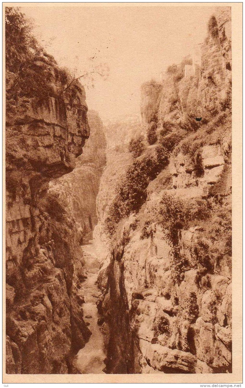 Algérie - CONSTANTINE -la gorge de Rhummel (Rhumel)  *PRIX FIXE- Editions  horizons de France -A.Bougault  phot n°50133