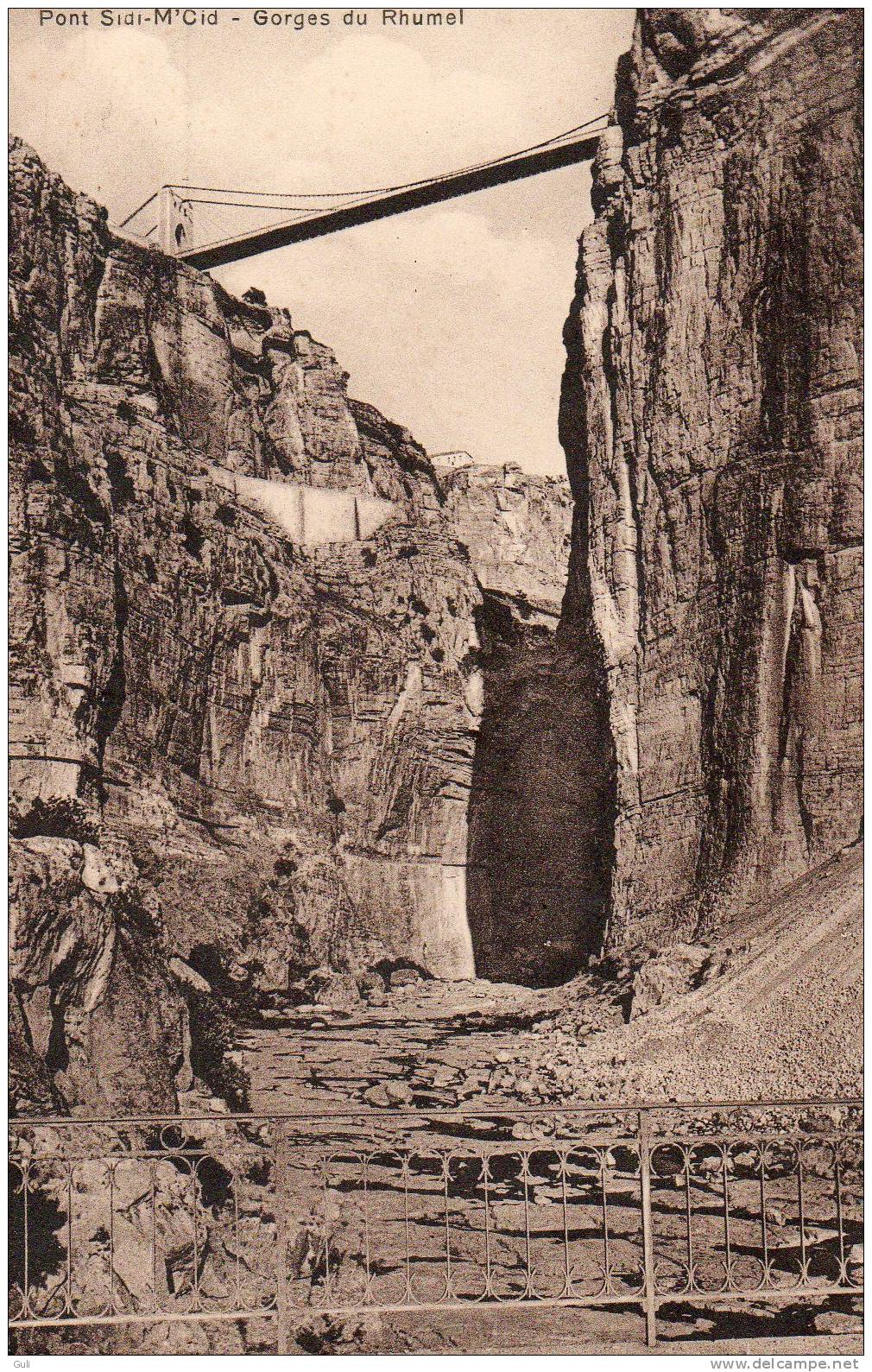 Algérie - CONSTANTINE - Pont Sidi M ´Cid - gorges du Rhumel (Rhummel)  *PRIX FIXE  - Editions  C-A-P  n°245-