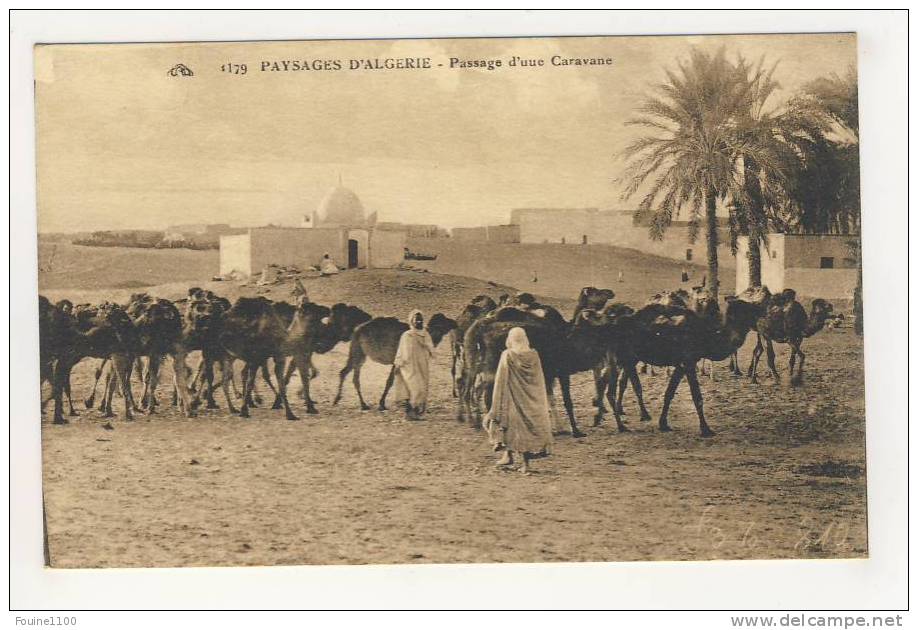 paysages d' algérie passage d' une caravane ( éditeur chapelle constantine )