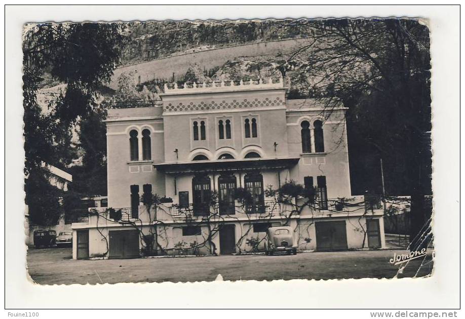 constantine palmarium de sidi m' cid ( mauvais état )