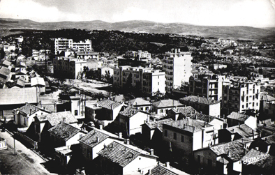 Algerie. Constantine. Bellevue  superieur. CPSM ( Jomone 226 ).