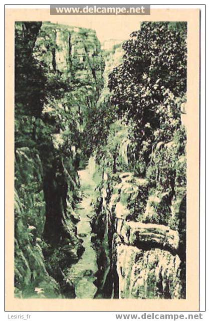 CPA - 6/21 - CONSTANTINE - LE RAVIN