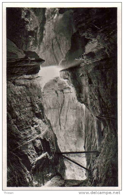 Algerie. Constantine.Passerelle  du chemin des touristes au fond du Rhummel ( CPSM Cigogne 37 ).