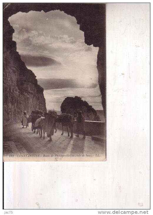 ROUTE DE PHILIPPEVILLE  AU  CLAIR DE  LUNE