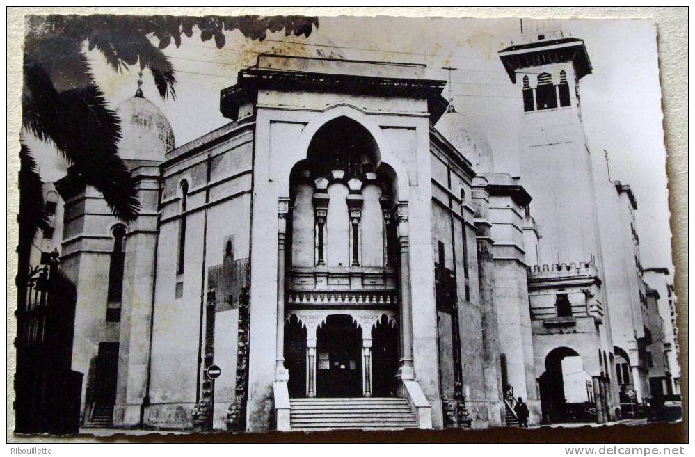 Algérie - CP N° L369 - Constantine (état) - CPSM/N