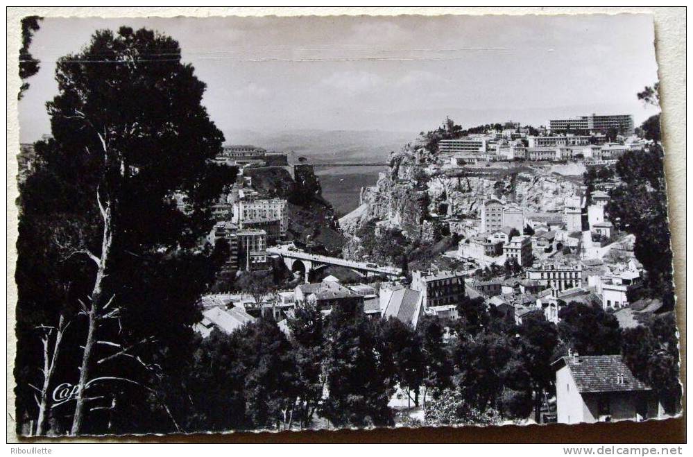 Algérie - CP N° L372 - Constantine - CPSM/N