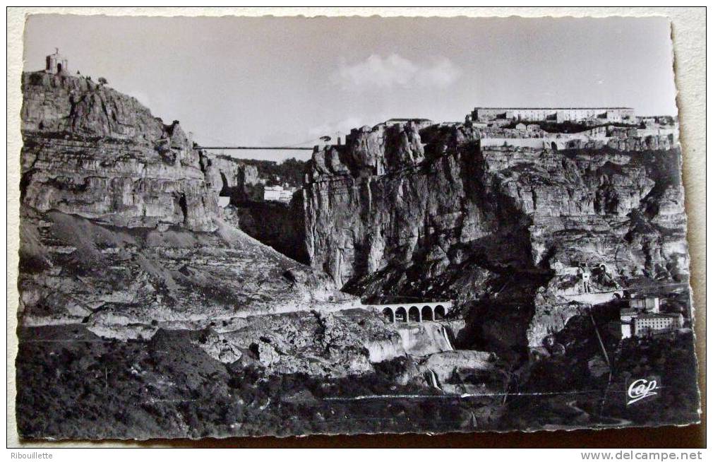 Algérie - CP N° L374 - Constantine - CPSM/N