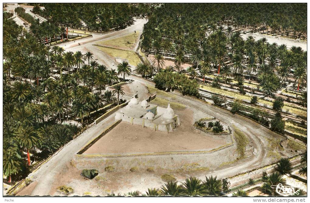 cpsm Touggourt (constantine) vue aérienne-