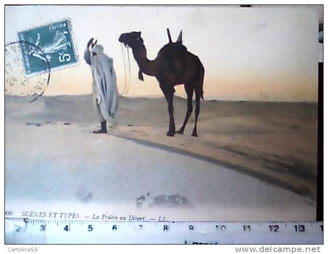 ALGERIA Algérie -COSTANTINE PREGHIERA ARABO NEL DESERTO CAMMELLO VB1912 CC5074