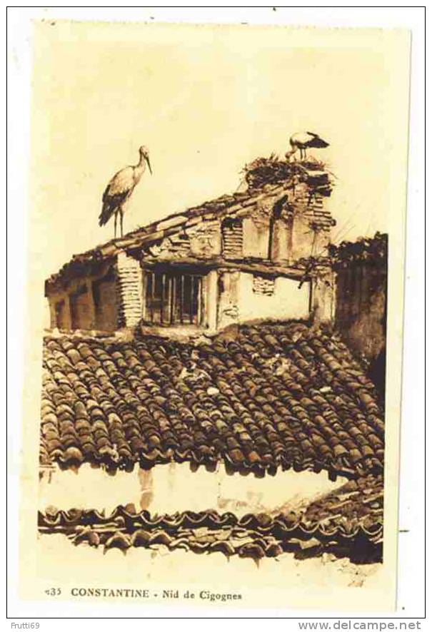 ALGERIA - 0078 Constantine - Nid de Cigognes