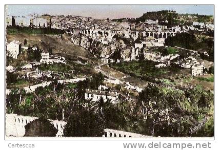 Constantine vue generale 1956 CPM ou CPSM