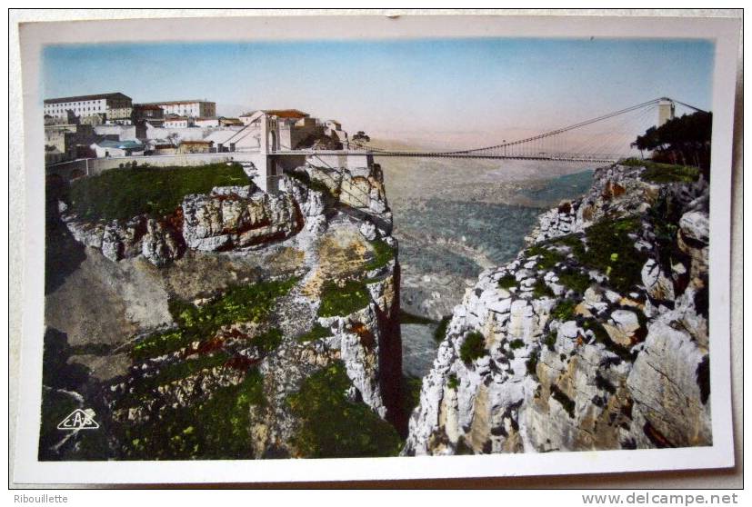 Algérie - CP N° Z376 - Constantine - CPSM/E